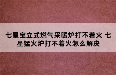 七星宝立式燃气采暖炉打不着火 七星猛火炉打不着火怎么解决